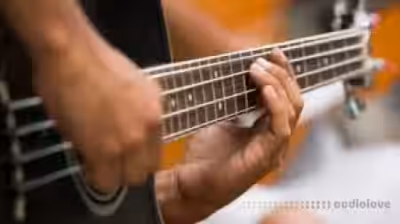 Lynda John Patitucci Electric Bass Complete [TUTORiAL] - Sample Pack Artwork