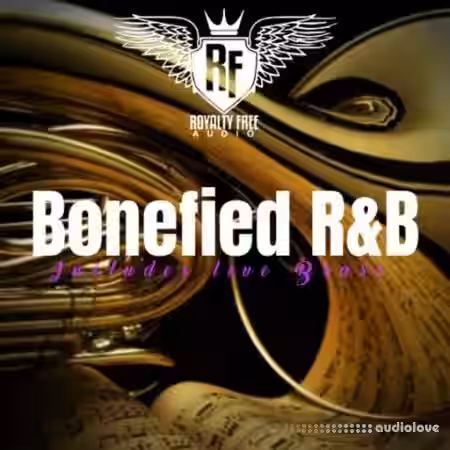 M3G Moguls Bonefied RnB [WAV] - Sample Pack Artwork