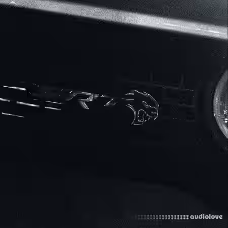 MAADFRFR Hemi Drum Kit [WAV] - Sample Pack Artwork