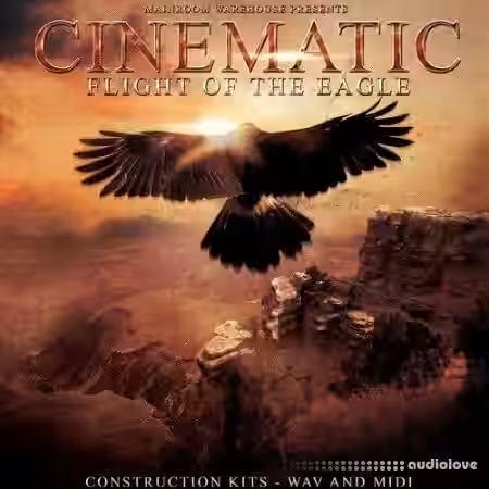 Mainroom Warehouse Cinematic Flight Of The Eagle [MULTiFORMAT] - Sample Pack Artwork