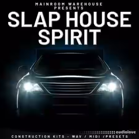 Mainroom Warehouse Slap House Spirit [WAV, MiDi, Synth Presets] - Sample Pack Artwork