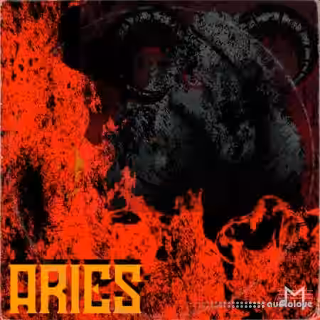 Major Loops Aries [WAV] - Sample Pack Artwork