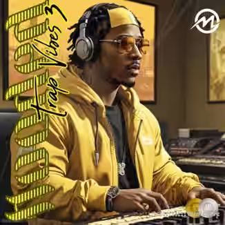 Major Loops Flooded Trap Vibes 3 [WAV]