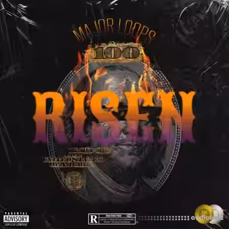 Major Loops Risen [WAV] - Sample Pack Artwork