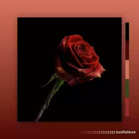 MarcDBeats Rose [WAV] - Sample Pack Artwork