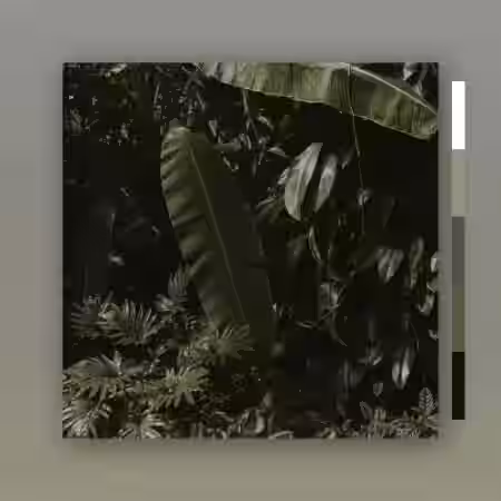 MarcDBeats Tres [WAV] - Sample Pack Artwork