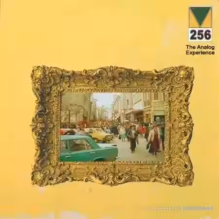 Mario Luciano The Analog Experience [WAV] - Sample Pack Artwork