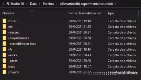 Martin Leib Experimental Soundkit [WAV, MiDi, Synth Presets] - Sample Pack Artwork