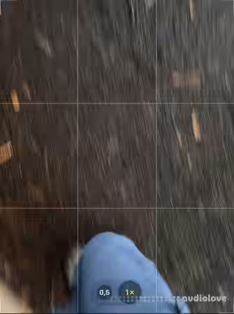 Martin Leib Pandora Kit [WAV, MiDi, Synth Presets] - Sample Pack Artwork