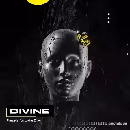 Melodic Techno Academy DIVINE [WAV, MiDi, Synth Presets] - Sample Pack Artwork