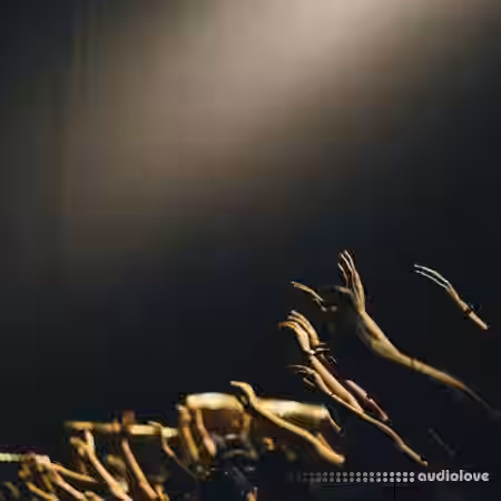 Michael White Hands Up [WAV] - Sample Pack Artwork