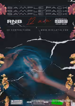 Midilatino RnB Sample Pack 12AM [WAV, MiDi] - Sample Pack Artwork