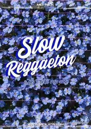 Midilatino Slow Reggaeton Vol.2 [WAV, MiDi] - Sample Pack Artwork