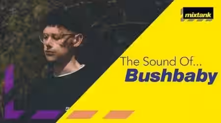 Mixtank.tv The Sound Of Bushbaby [TUTORiAL] - Sample Pack Artwork