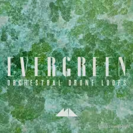 ModeAudio Evergreen Orchestral Drone Loops [WAV] - Sample Pack Artwork