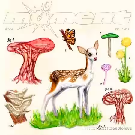 Moment Field Notes, a Holly Waxwing moment [WAV, Synth Presets] - Sample Pack Artwork