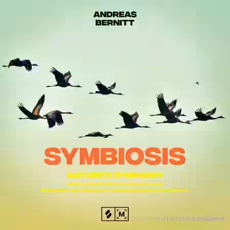 Montage by Splice Symbiosis: Nature's Symphony [WAV] - Sample Pack Artwork