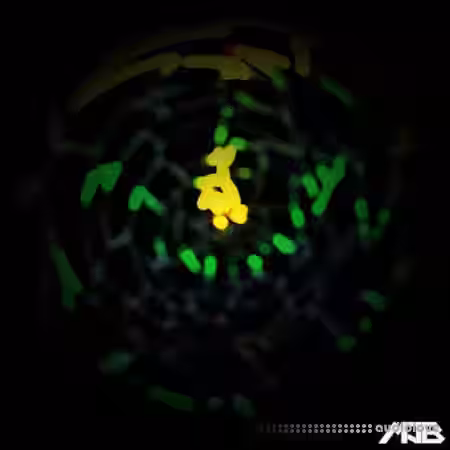 MrJonnyBatch Dark Emotive Electronica [WAV] - Sample Pack Artwork