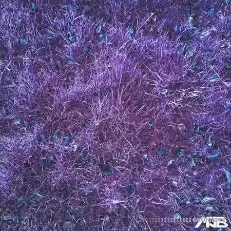 MrJonnyBatch Tribal House [WAV] - Sample Pack Artwork