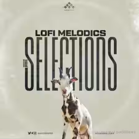 MSXII Lofi Melodics Selections [WAV] - Sample Pack Artwork