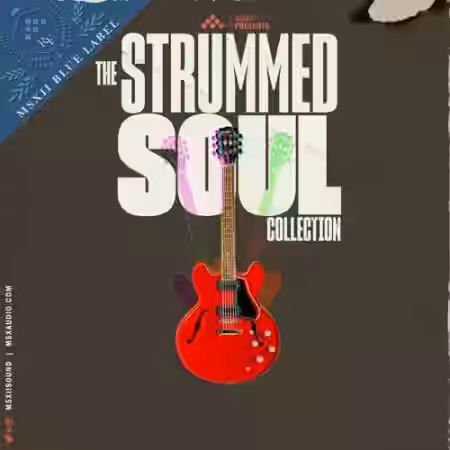 MSXII Sound Design Strummed Soul Collection (Compositions and Stems) [WAV] - Sample Pack Artwork