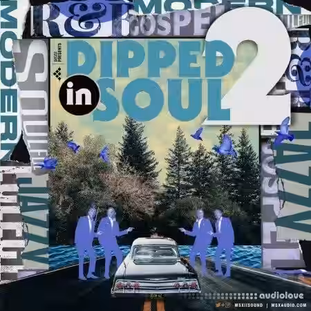 MSXII Sound Dipped In Soul Vol.2 [WAV] - Sample Pack Artwork
