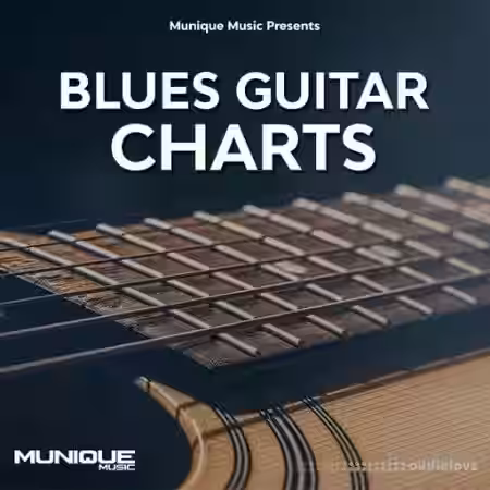 Munique Music Blues Guitar Charts [WAV] - Sample Pack Artwork