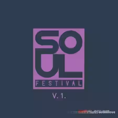 MVPPlatinum Soul Festival Vol.1 [WAV] - Sample Pack Artwork