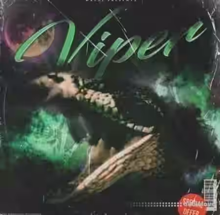 Nashi Viper Drum Kit [WAV, MiDi, Synth Presets] - Sample Pack Artwork