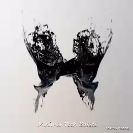 Nasimus Records Minimal Tech Basses [WAV, MiDi] - Sample Pack Artwork
