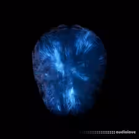 NAT08 Neural Network (Multi Kit) [WAV, MiDi, Synth Presets, DAW Templates] - Sample Pack Artwork