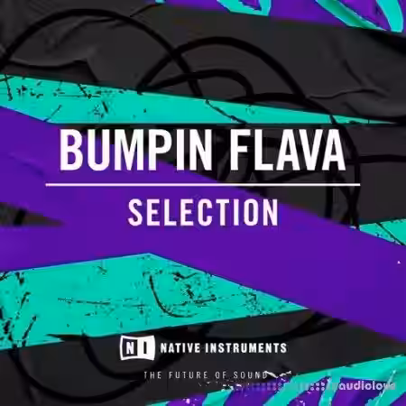 Native Instruments Bumpin Flava [WAV] - Sample Pack Artwork