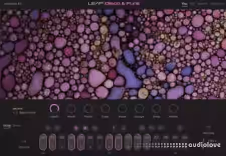 Native Instruments Leap Disco and Funk [KONTAKT] - Sample Pack Artwork