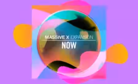 Native Instruments MASSIVE X Expansion NOW v1.0.4 [Synth Presets] - Sample Pack Artwork