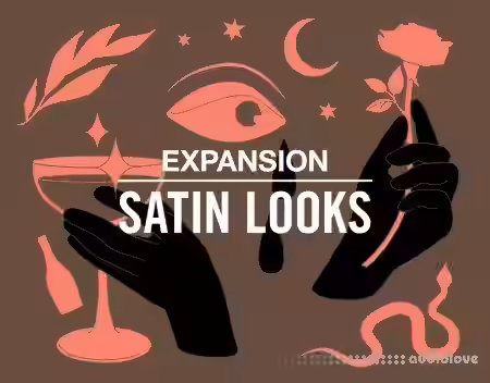 Native Instruments Satin Looks [AKAI] - Sample Pack Artwork