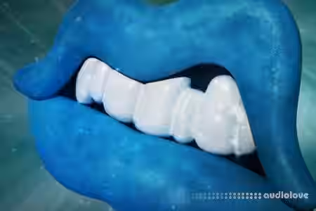 Native Instruments The Mouth v1.3.0.2 HYBRID [WiN, MacOSX] - Sample Pack Artwork