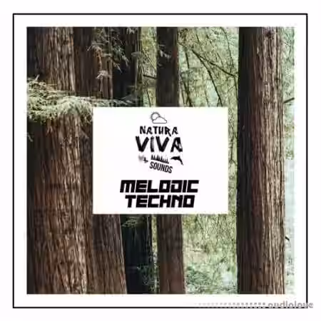 Natura Viva Sounds Melodic Techno [WAV] - Sample Pack Artwork