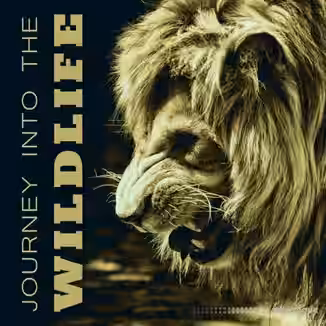 Nature Sounds Journey Into the Wildlife Collection of Various Nature Sounds Effects [FLAC]