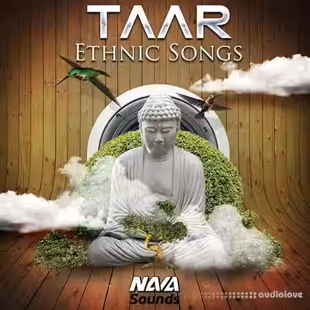 Nava Sounds Taar Ethnic Songs [WAV] - Sample Pack Artwork