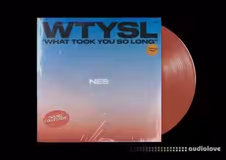 NES What Took You So Long [WAV] - Sample Pack Artwork