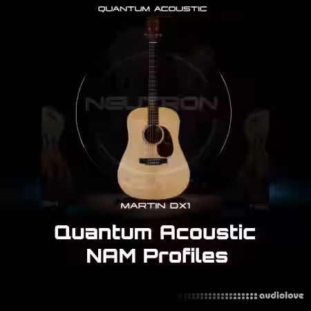 Neutron Studios Martin DX1 NAM PROFILES [Synth Presets] - Sample Pack Artwork