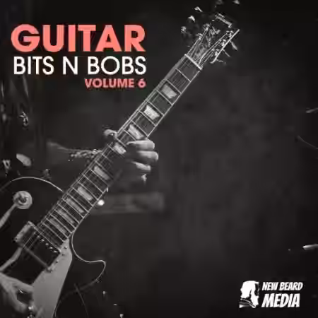 New Beard Media Guitar Bits N Bobs Vol.6 [WAV] - Sample Pack Artwork