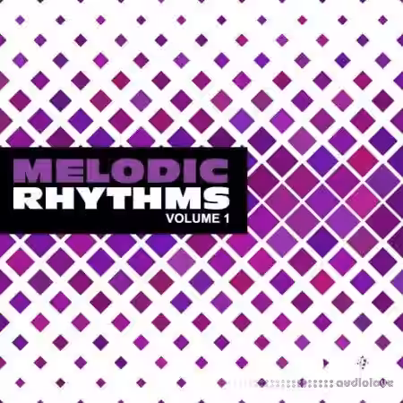 New Beard Media Melodic Rhythms Vol.1 [WAV] - Sample Pack Artwork
