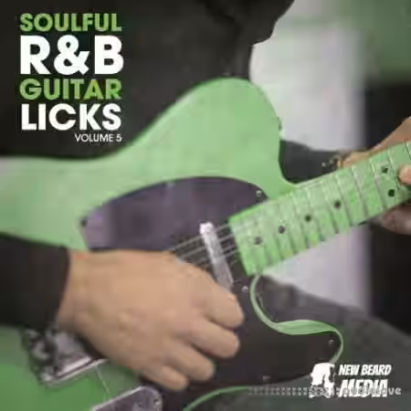 New Beard Media R&B Guitar Licks Vol.5 [WAV] - Sample Pack Artwork