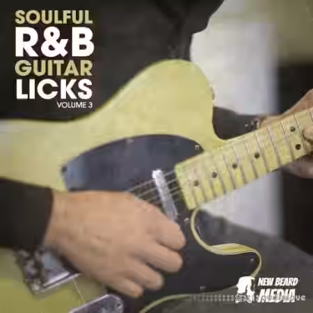 New Beard Media Soulful RnB Guitar Licks Vol.3 [WAV] - Sample Pack Artwork