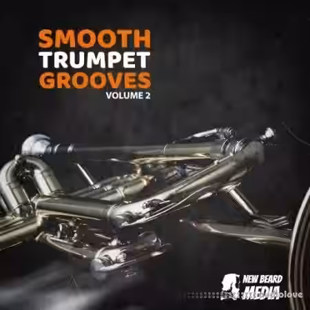 New Beard Media Trumpet Grooves Vol.2 [WAV] - Sample Pack Artwork