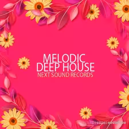 Next Sound Records Melodic Deep House [WAV, MiDi, Synth Presets] - Sample Pack Artwork