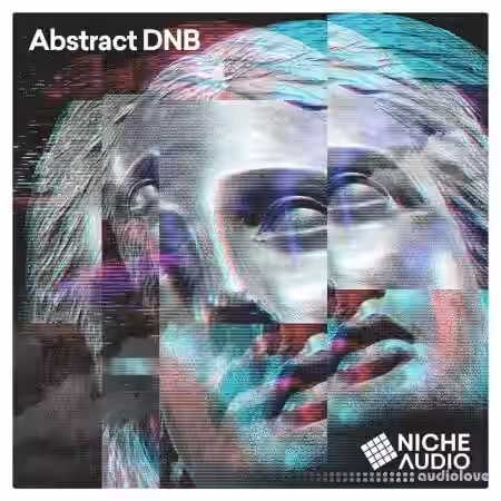 Niche Audio Abstract DnB [Maschine] - Sample Pack Artwork