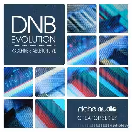 Niche Audio Creator Series DnB Evolution [Maschine] - Sample Pack Artwork