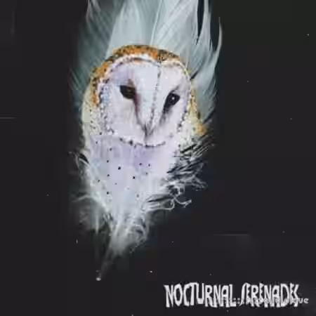 NightOWL Nocturnal Serenades (Compositions and Stems) [WAV] - Sample Pack Artwork